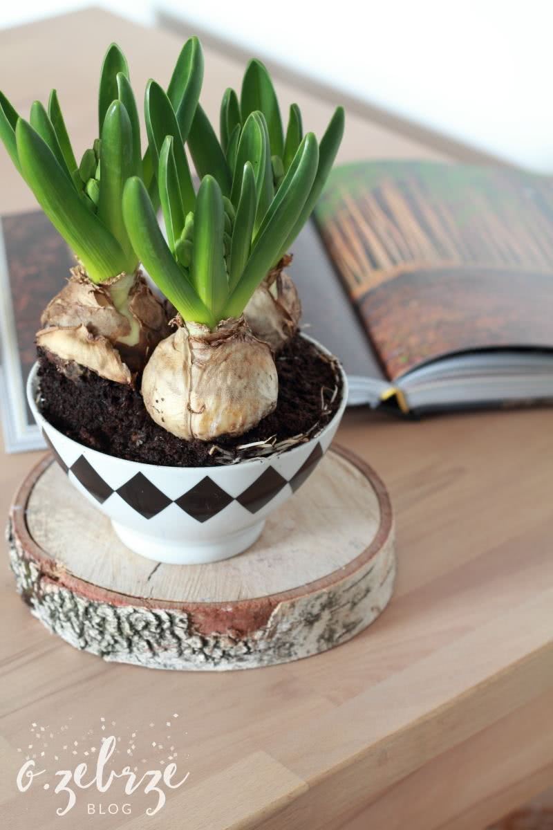 meble z drewna na blogu O Zebrze